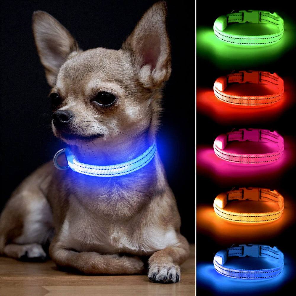 BSEEN Collar LED azul XS ilumina la noche para perros y gatos.