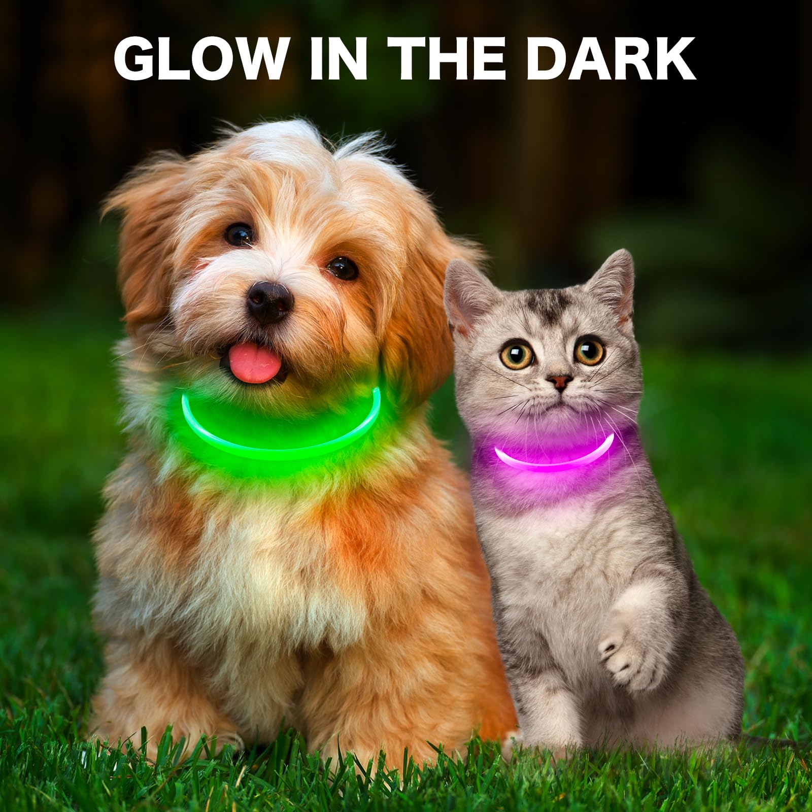 Uso nocturno seguro para paseos con el collar BSEEN.