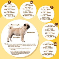 Capucha transparente removible de Bsemax para ver al perro durante el paseo