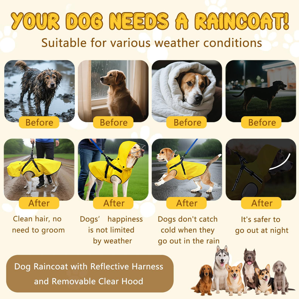 Diseño seguro con arnés reflector ideal para paseos en lluvia