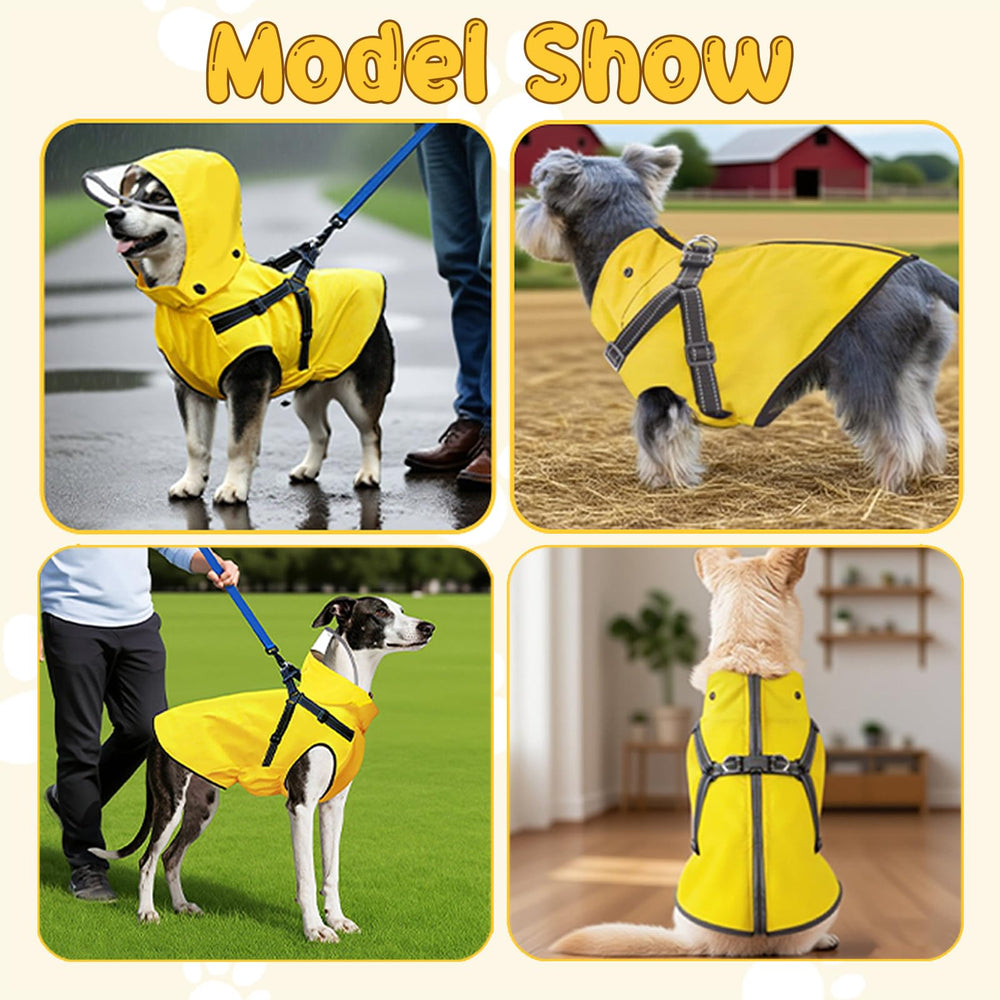 Tallas disponibles S a XXL para perros de todos los tamaños