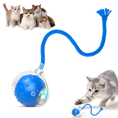 BSolus TinyFetch bola interactiva para perro impulsa juego dinámico en casa