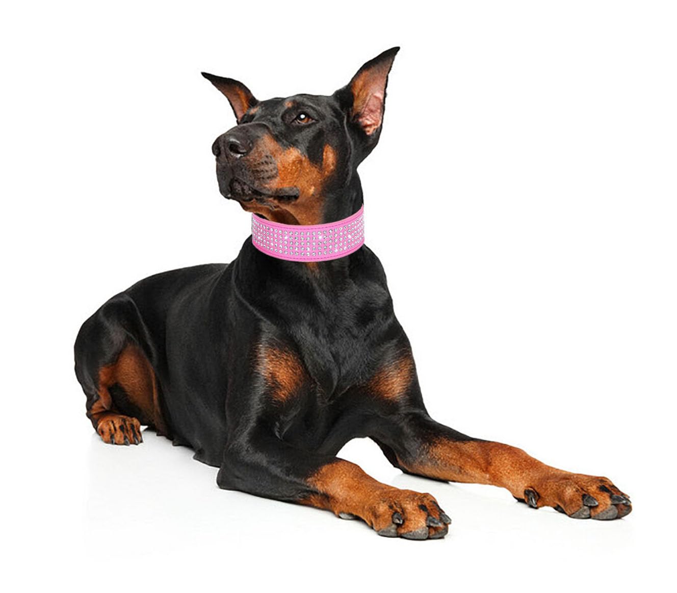BTDCFY collar elegante para fiestas o uso diario