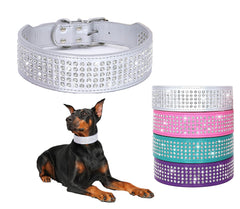 BTDCFY collar para perro con cristales brillantes de 2 pulgadas, uso diario.