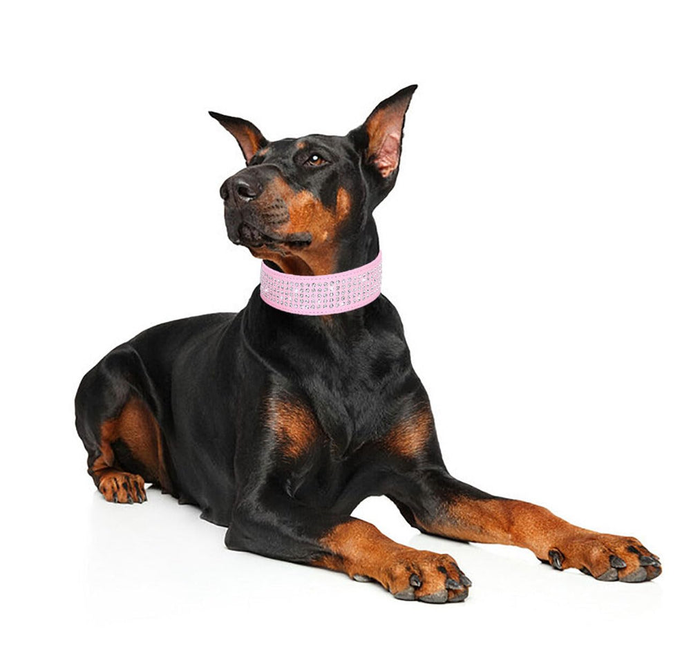 BTDCFY collar para perros medianos y grandes mejora la visibilidad y brillo diario