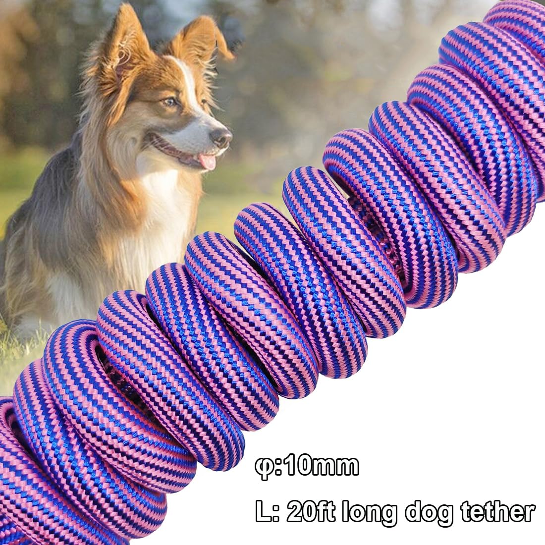 BTINESFUL cuerda de amarre para perro 20ft rosa, adecuada para jardín y playa