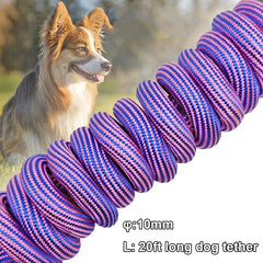 BTINESFUL cuerda de amarre para perro 20ft rosa, adecuada para jardín y playa