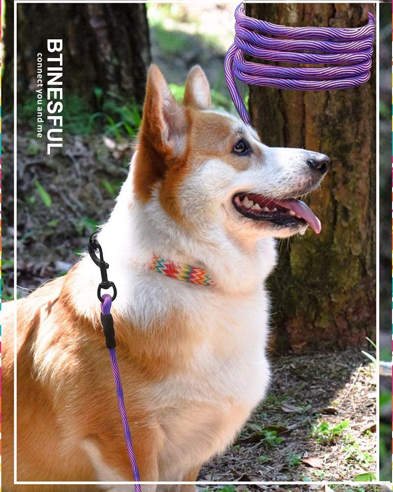 BTINESFUL cuerda de amarre para perro 30ft azul, útil para adiestramiento al aire libre