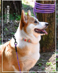 BTINESFUL cuerda de amarre para perro 30ft azul, útil para adiestramiento al aire libre