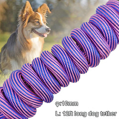 BTINESFUL cuerda de amarre para perro de 20 pies en rosa y azul, exterior