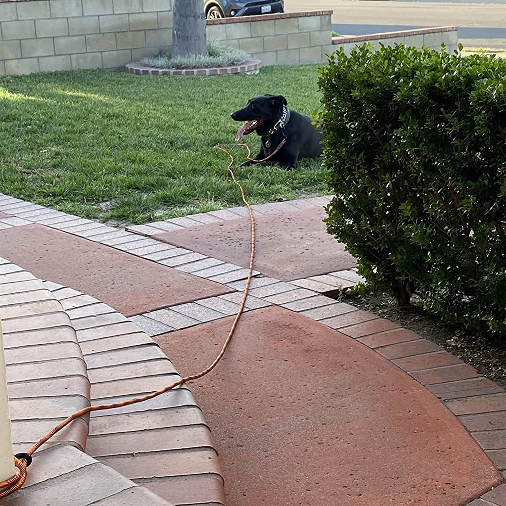 BTINESFUL cuerda para perro de 50 pies, color vivo para localizar al perro fácilmente.