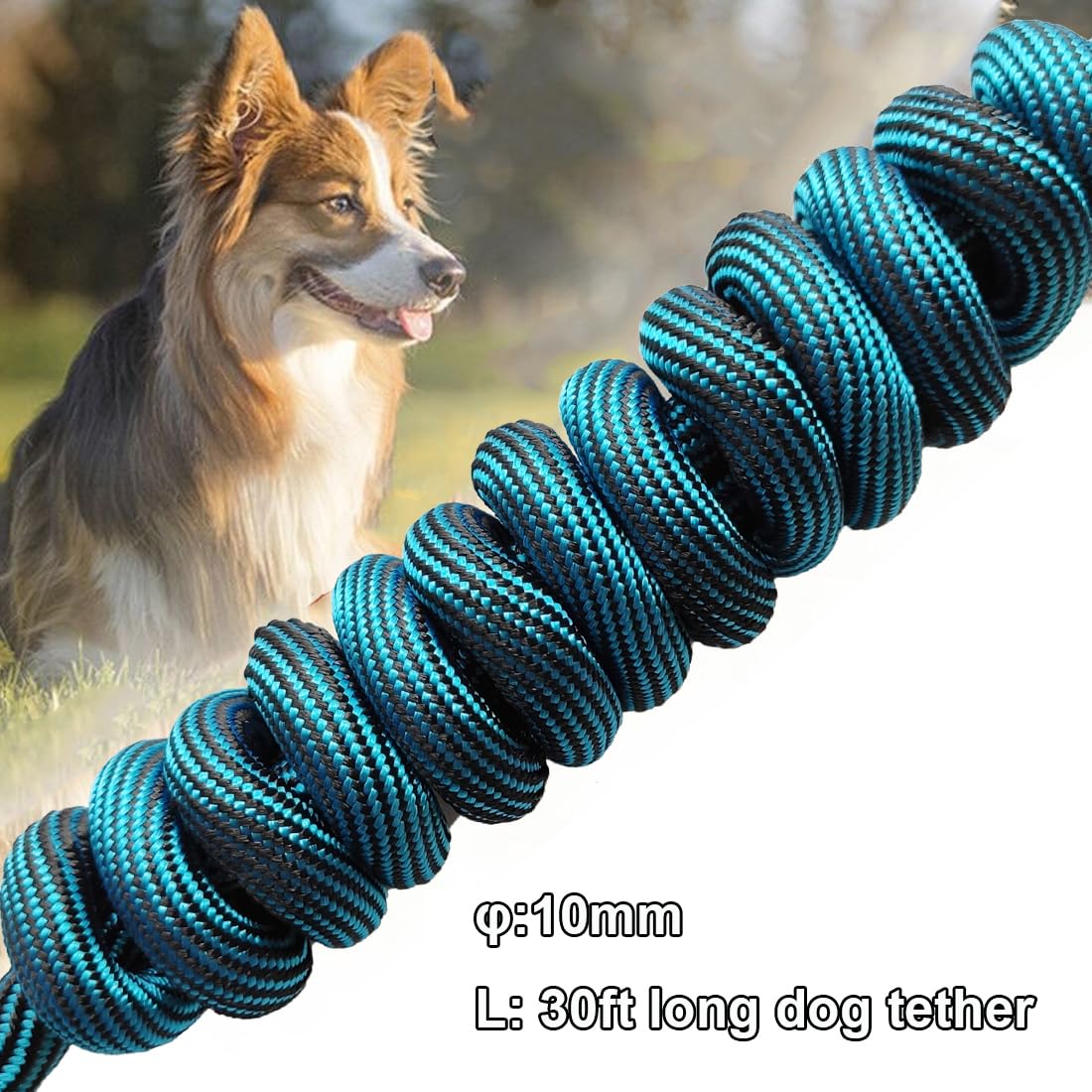 BTINESFUL cuerda para perros 20 pies, libertad moderada en patio o parque