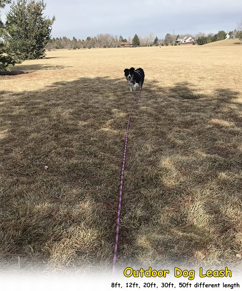 BTINESFUL cuerda para perros de 30 pies en negro, longitud para juego al aire libre