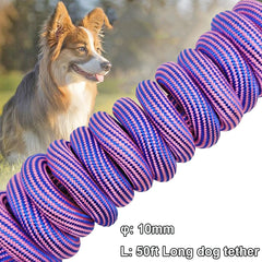 BTINESFUL cuerda para perro de 20 pies en rosa, perfecto para entrenamientos
