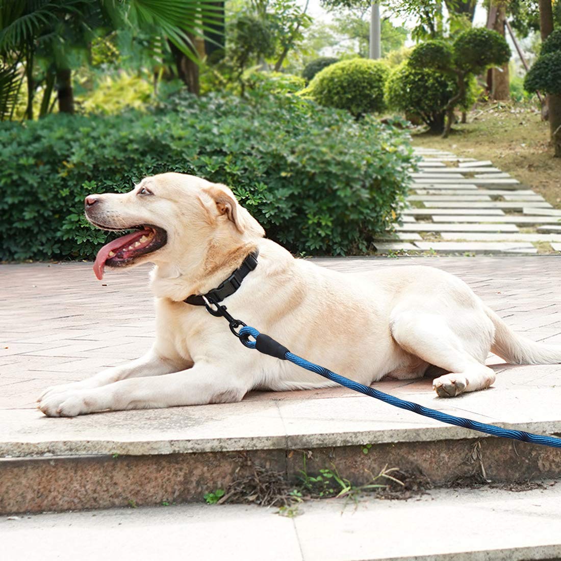 BTINESFUL cuerda de sujeción para perros 50 ft en azul-negro, fácil localización