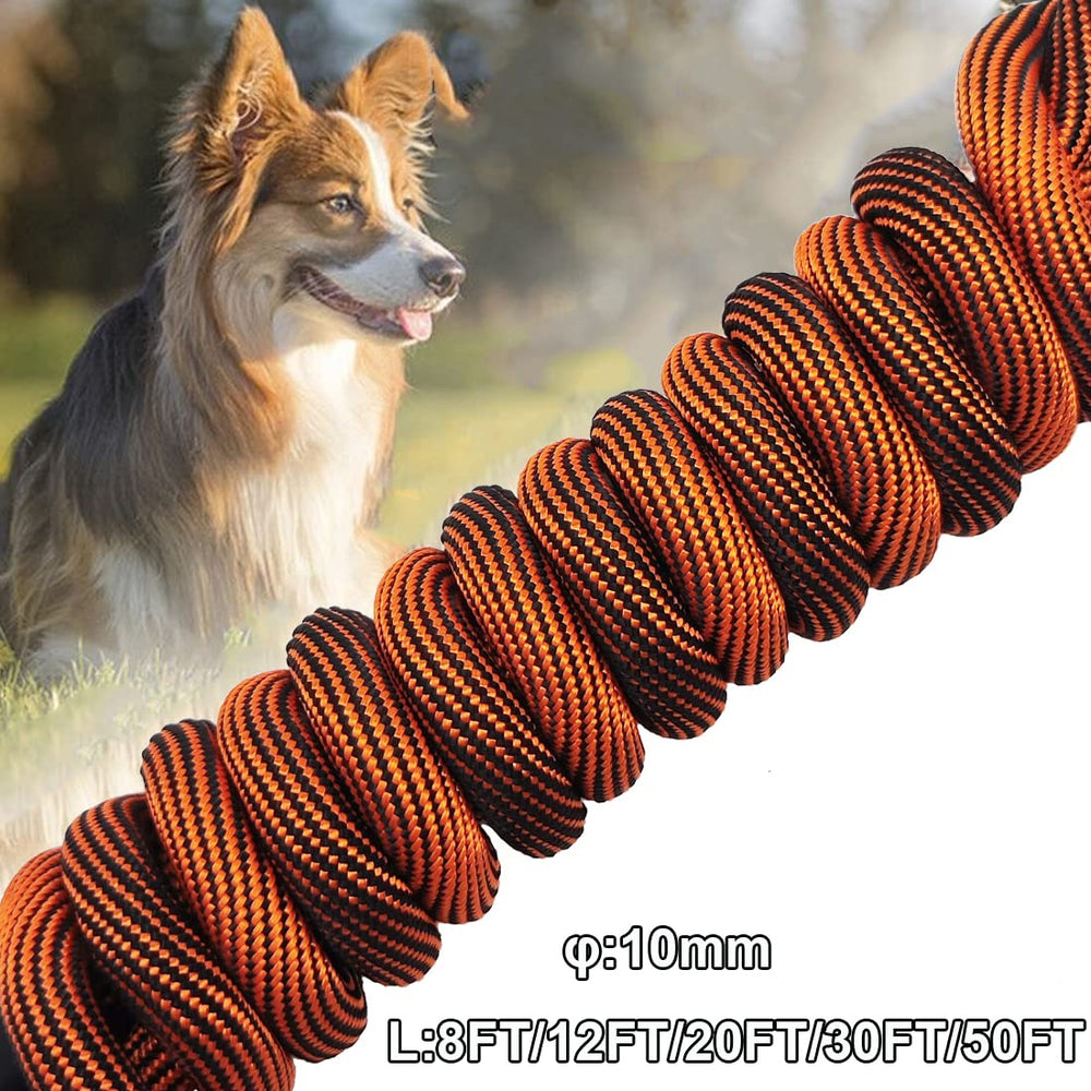 BTINESFUL cuerda tie-out 50ft, distancia segura para juego supervisado.