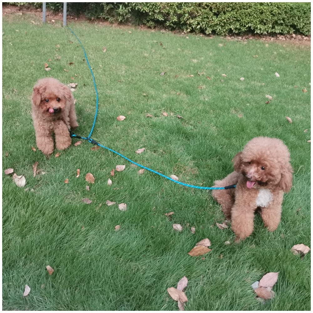 BTINESFUL doble tiro para perros, opción azul para yardas y playa.