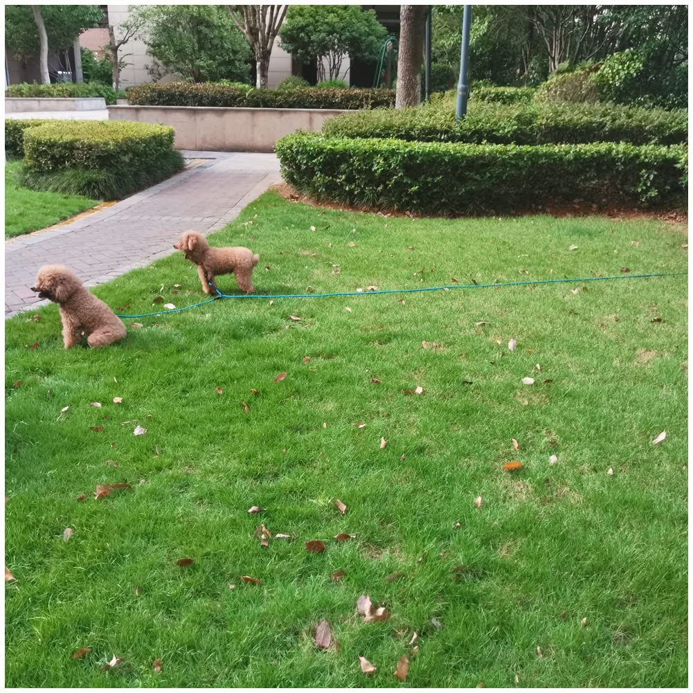 BTINESFUL uso multifuncional para paseos al aire libre con dos perros.