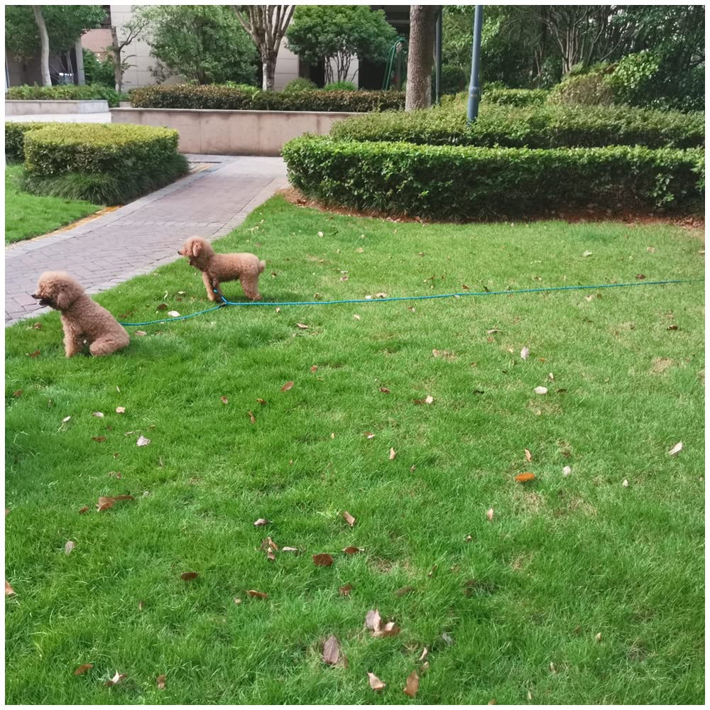 BTINESFUL uso multifuncional para paseos al aire libre con dos perros.