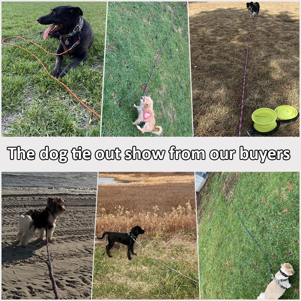 BTINESFUL uso multiuso de cuerda para perros y más
