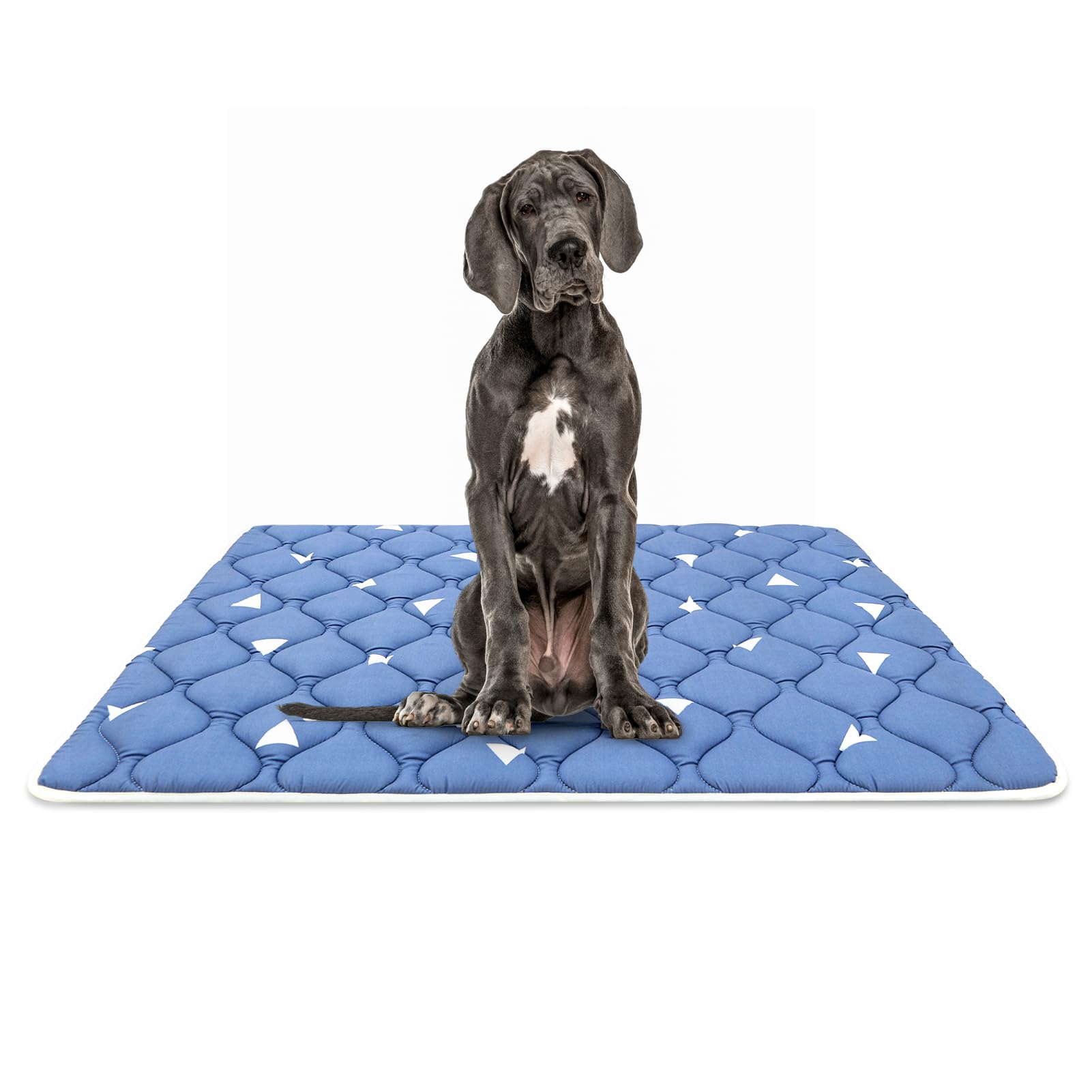 Bubble Bear Cama jaula perro ultra suave, brinda comodidad al dormir