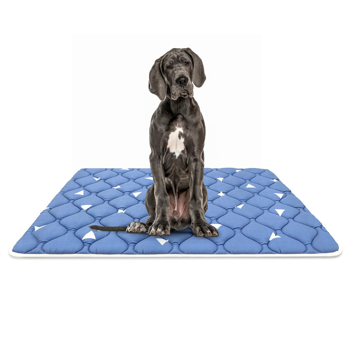 Bubble Bear Cama jaula perro ultra suave, brinda comodidad al dormir