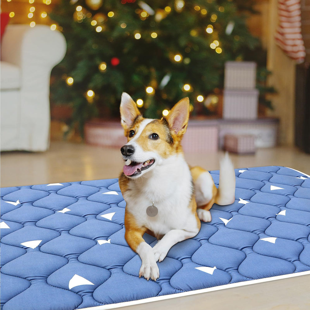 Bubble Bear Cama con estampados lindos para mascotas felices
