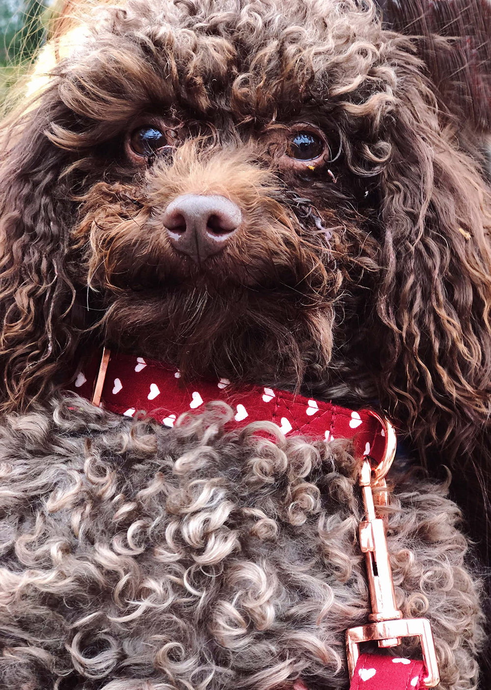 Bubblepup collar con diseño estilizado para diversas ocasiones.
