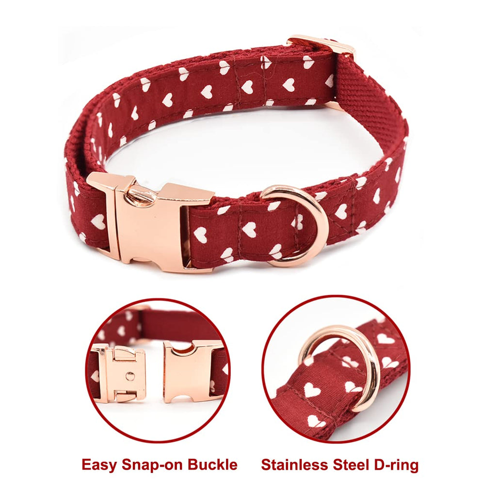 Bubblepup correa perro duradera para paseos largos y confiables.