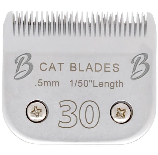 Hoja Bucchelli para gato con corte 0,5 mm, precisión fiable.