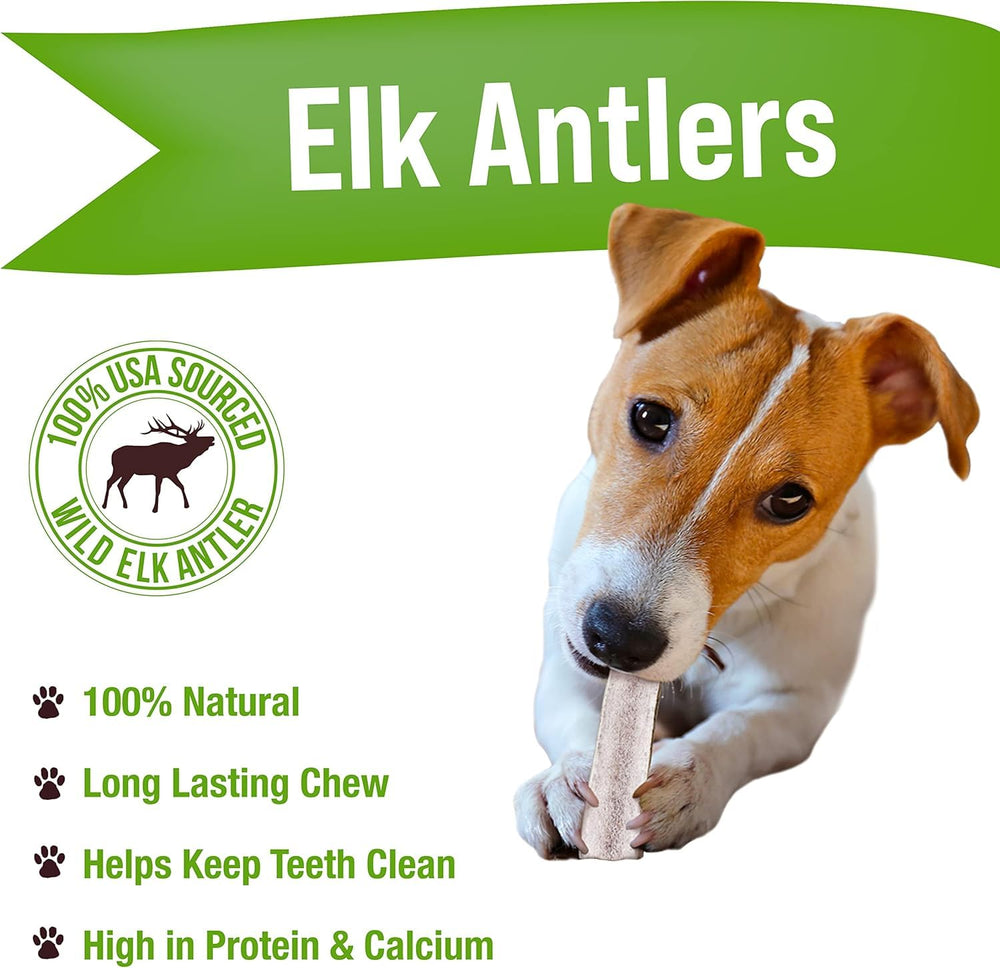Buck Bone Organics asta de alce natural para perros, ayuda a limpieza dental