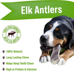 Buck Bone Organics astas de ciervo jumbo, fuente natural de proteína y minerales.