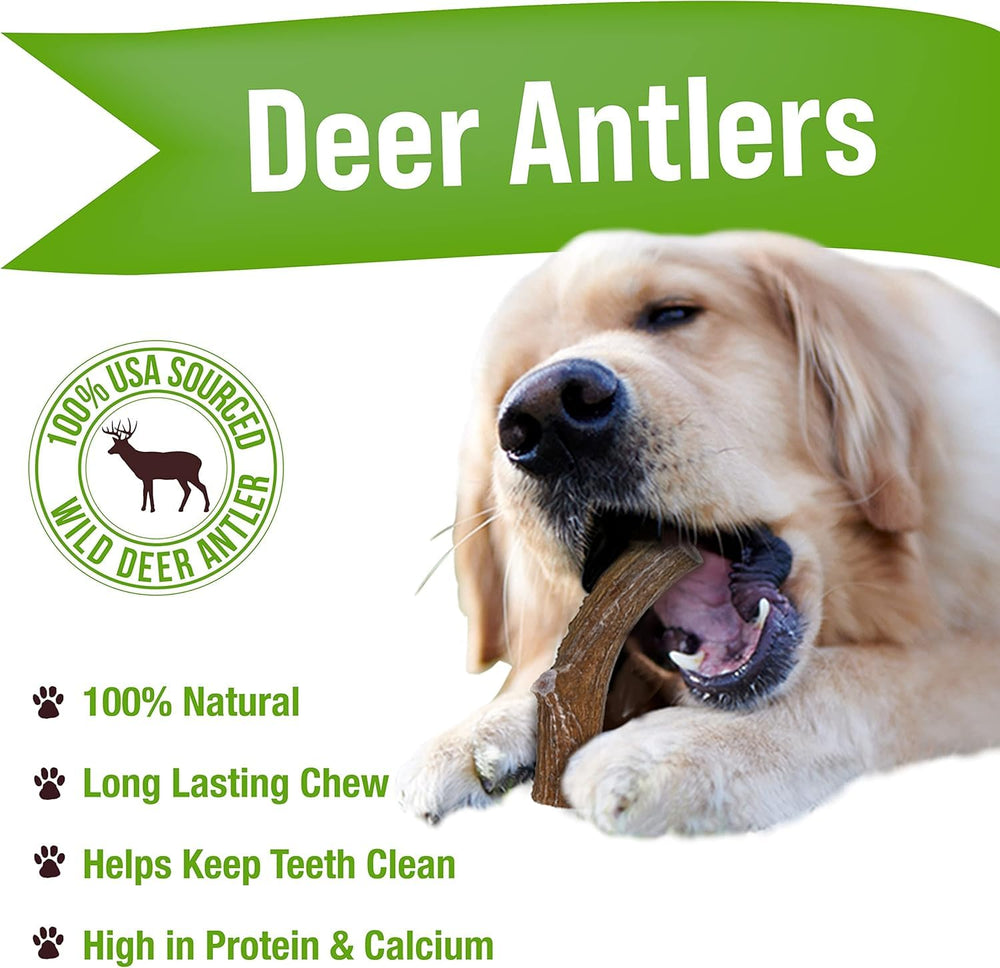 Buck Bone Organics limpieza dental natural con masticación de cuerno de ciervo.