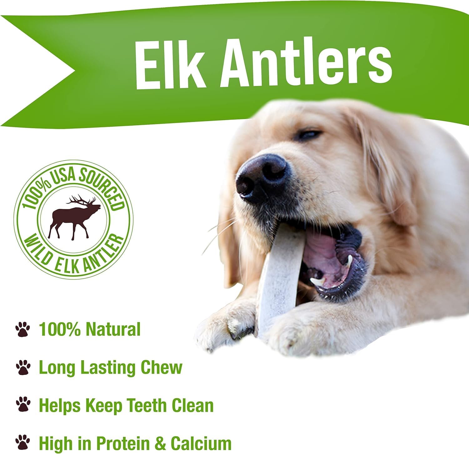 Buck Bone Organics: perro masticando asta de alce grande, masticación prolongada para perros activos.