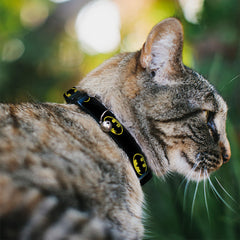 Collar Buckle-Down con diseño original para gatos, aporta estilo y visibilidad