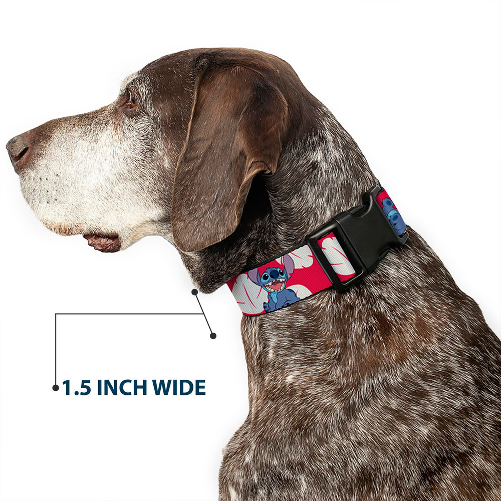 Ajuste para cuello Buckle-Down de 18 a 32 pulgadas