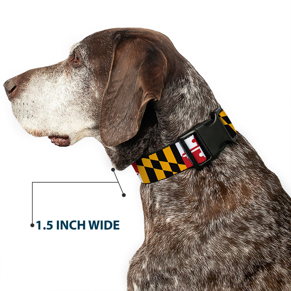 Colores vivos y patrón Maryland para expresar la personalidad del perro