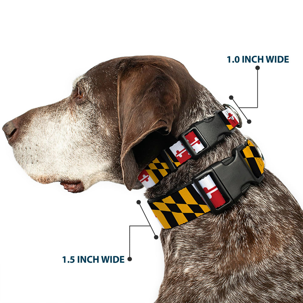 Vista lateral del collar Buckle-Down con diseño Maryland y colores vibrantes