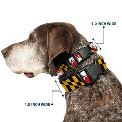 Vista lateral del collar Buckle-Down con diseño Maryland y colores vibrantes