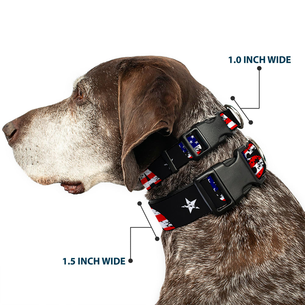 Collar Buckle-Down de estrella y banderas, ideal para paseos diarios