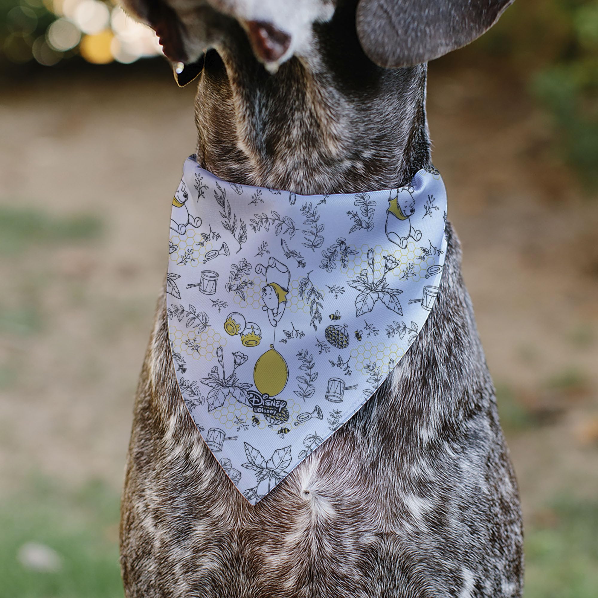 Bandana sobre collar Buckle-Down Winnie Pooh para paseos diarios.
