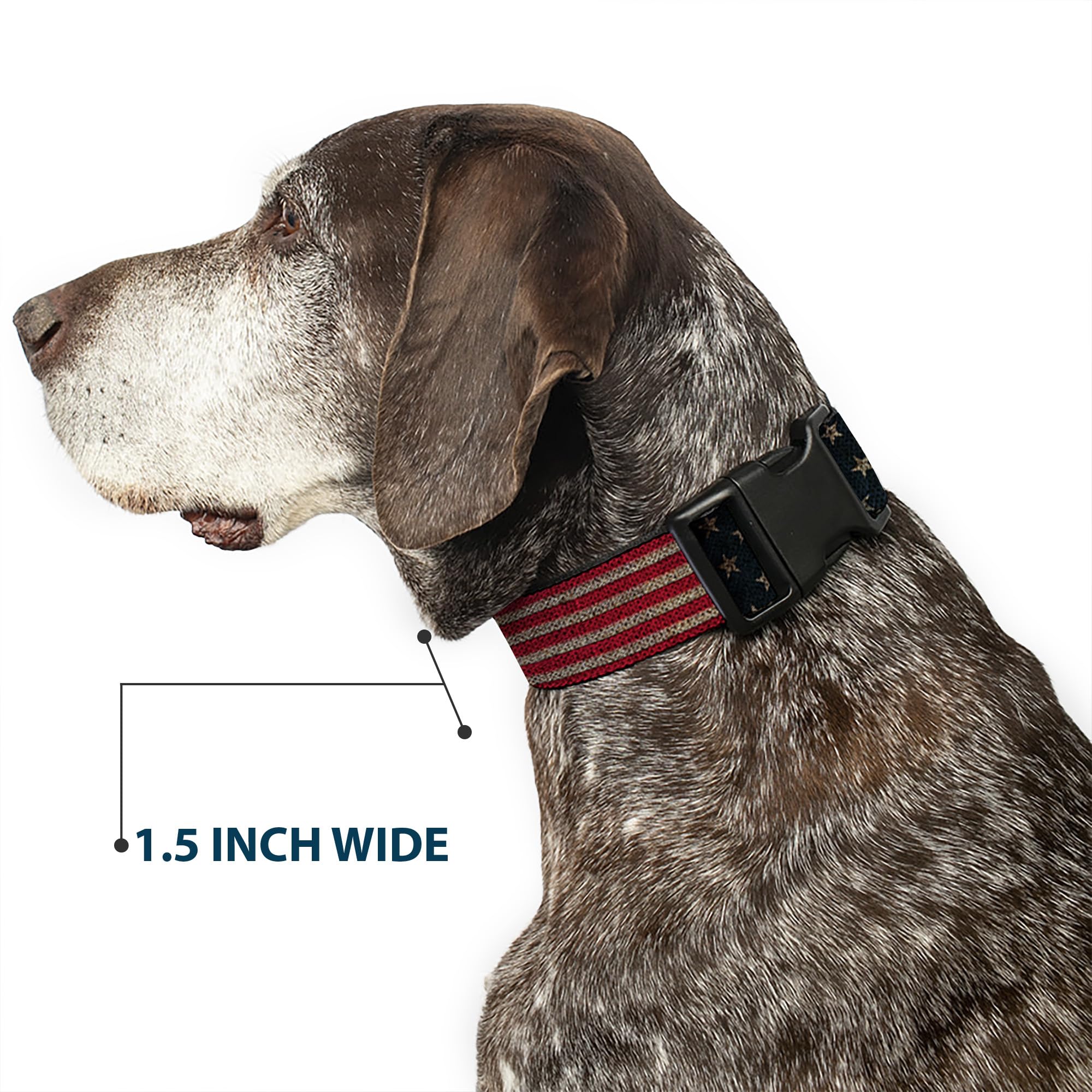 Collar Buckle-Down hecho en Estados Unidos, acabado duradero para uso diario.