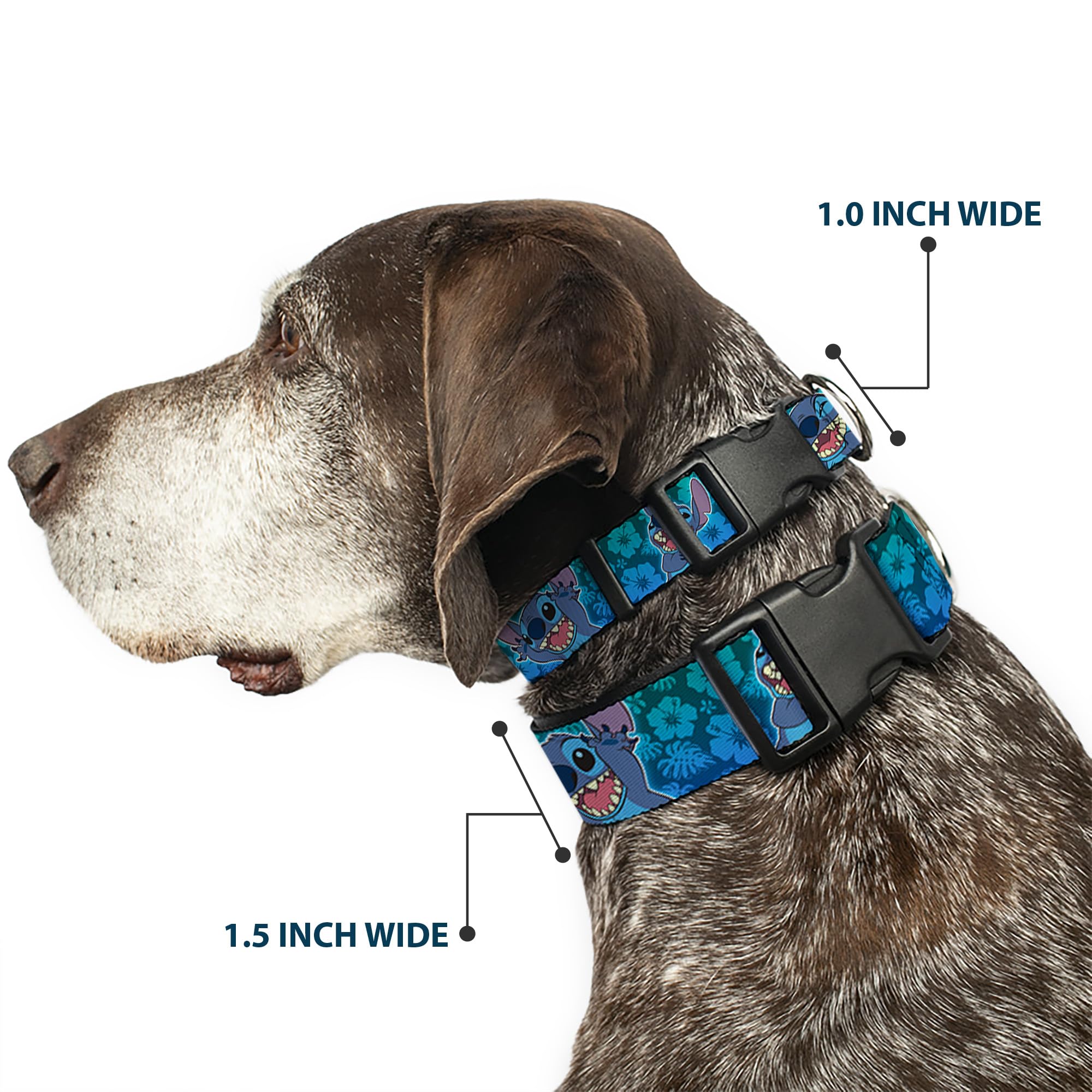 Buckle-Down collar con hibisco collage y color degradado verde-azul, ideal para salidas coloridas.