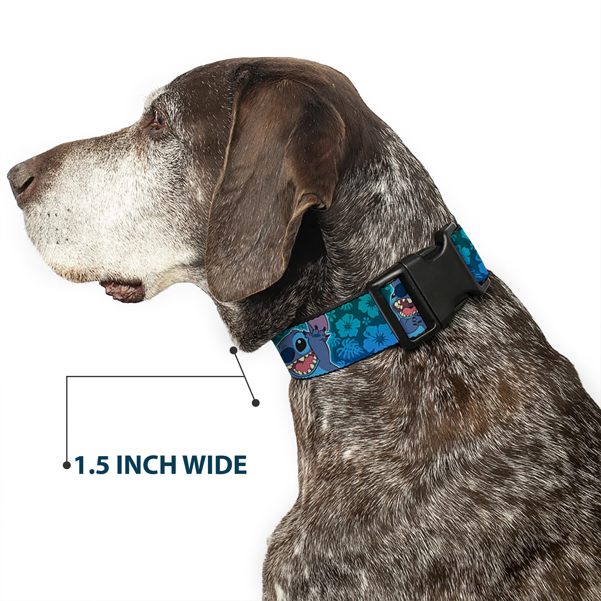 Buckle-Down collar duradero en poliéster para uso diario.