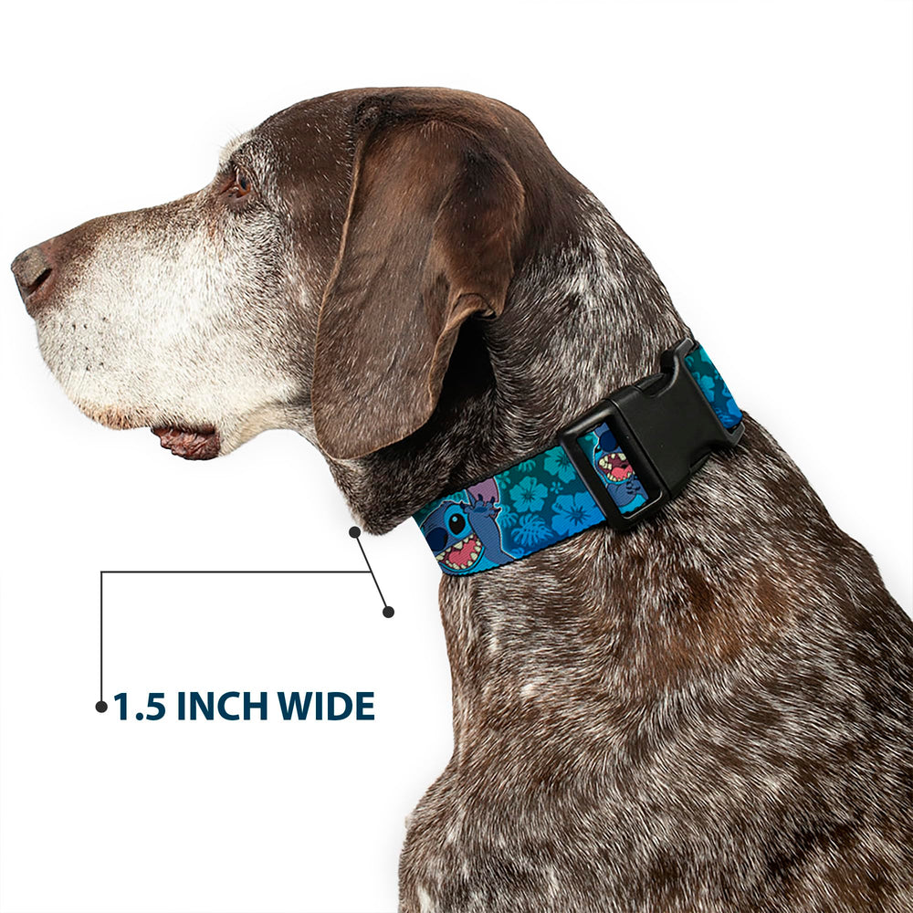 Buckle-Down collar duradero en poliéster para uso diario.