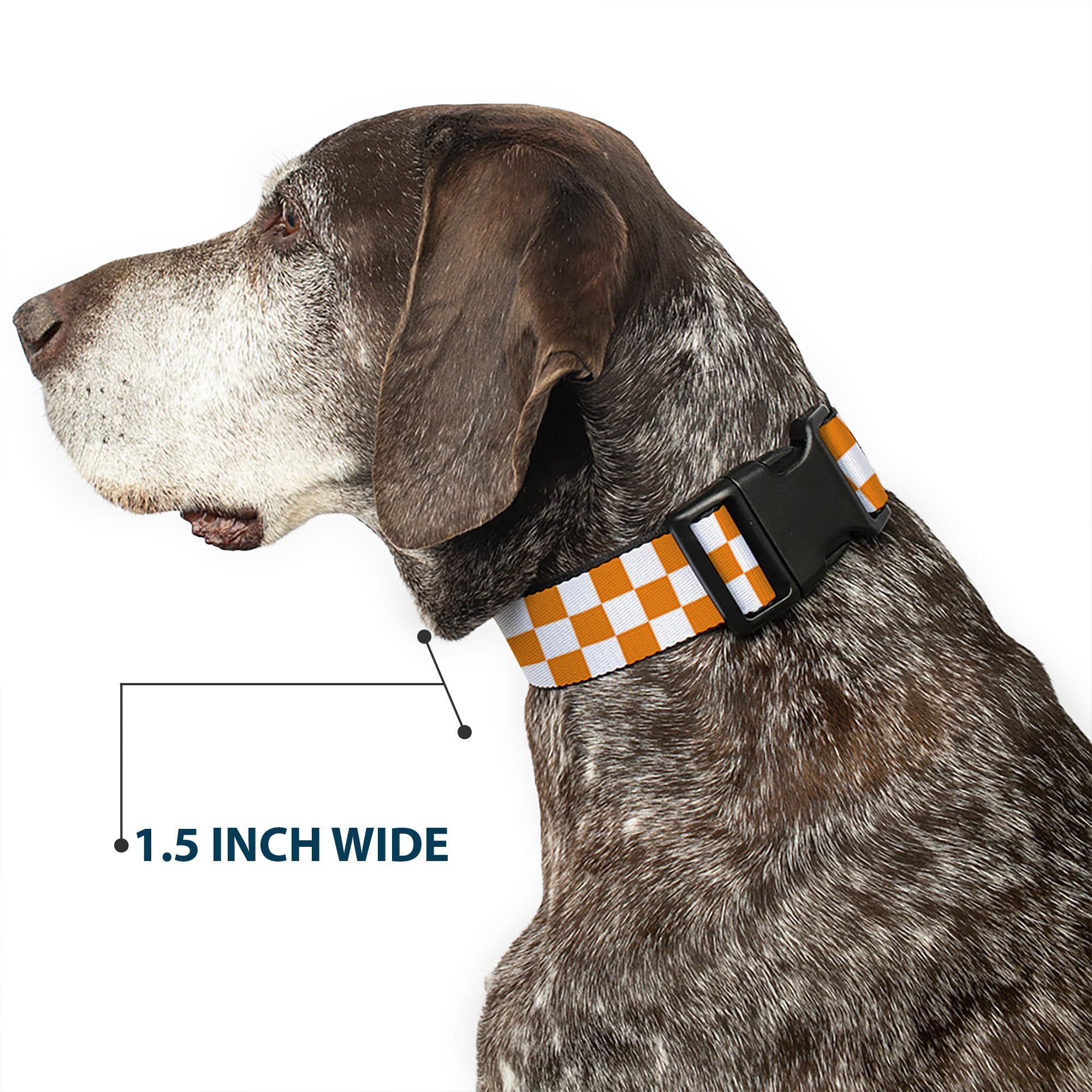 Collar Buckle-Down con correa opcional a juego, conjunto coordinado para paseos.