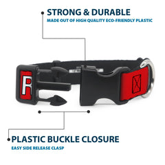 Collar Buckle-Down con ajuste de 28 a 42 cm para comodidad diaria