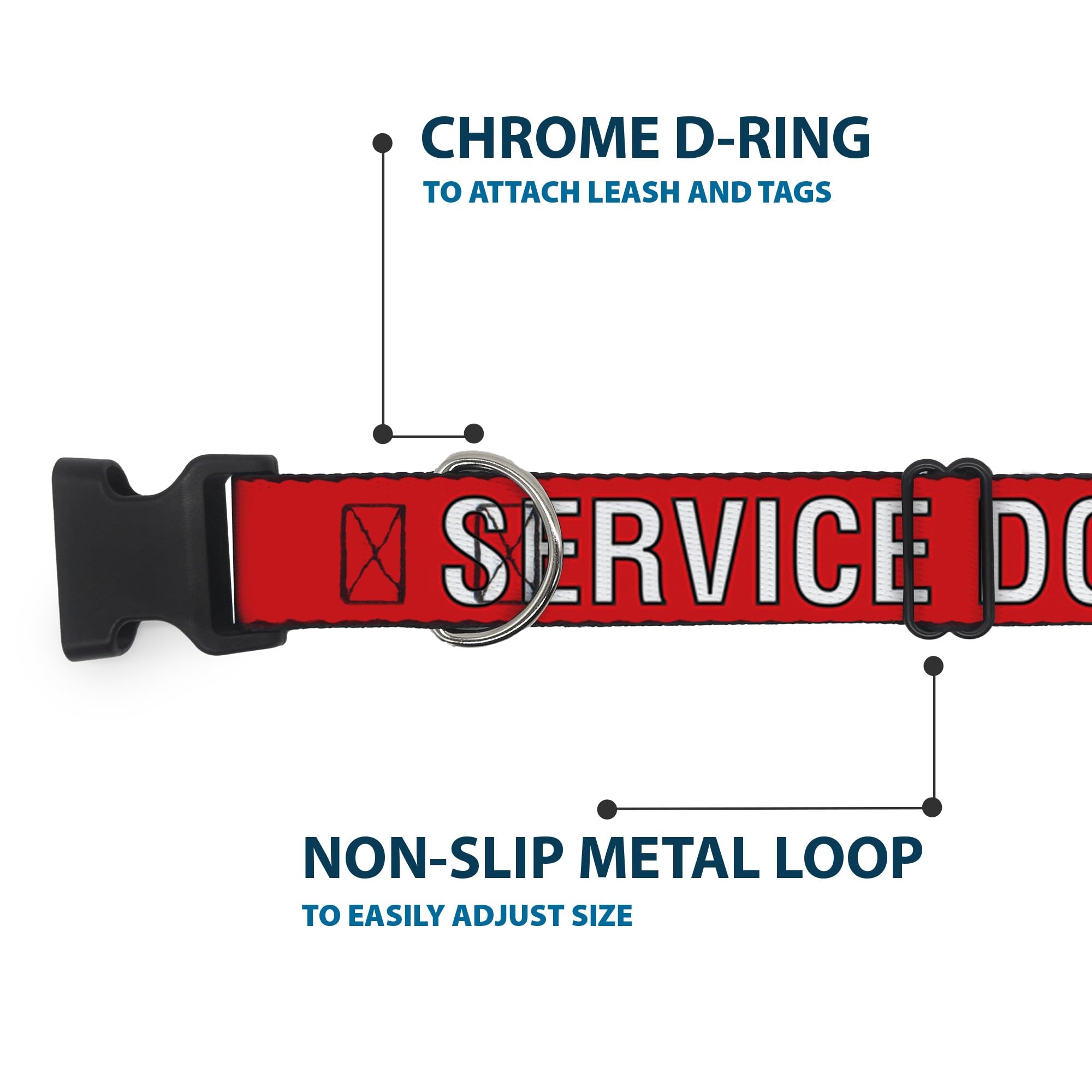Collar Buckle-Down de 1 pulgada de ancho, uso seguro para perros
