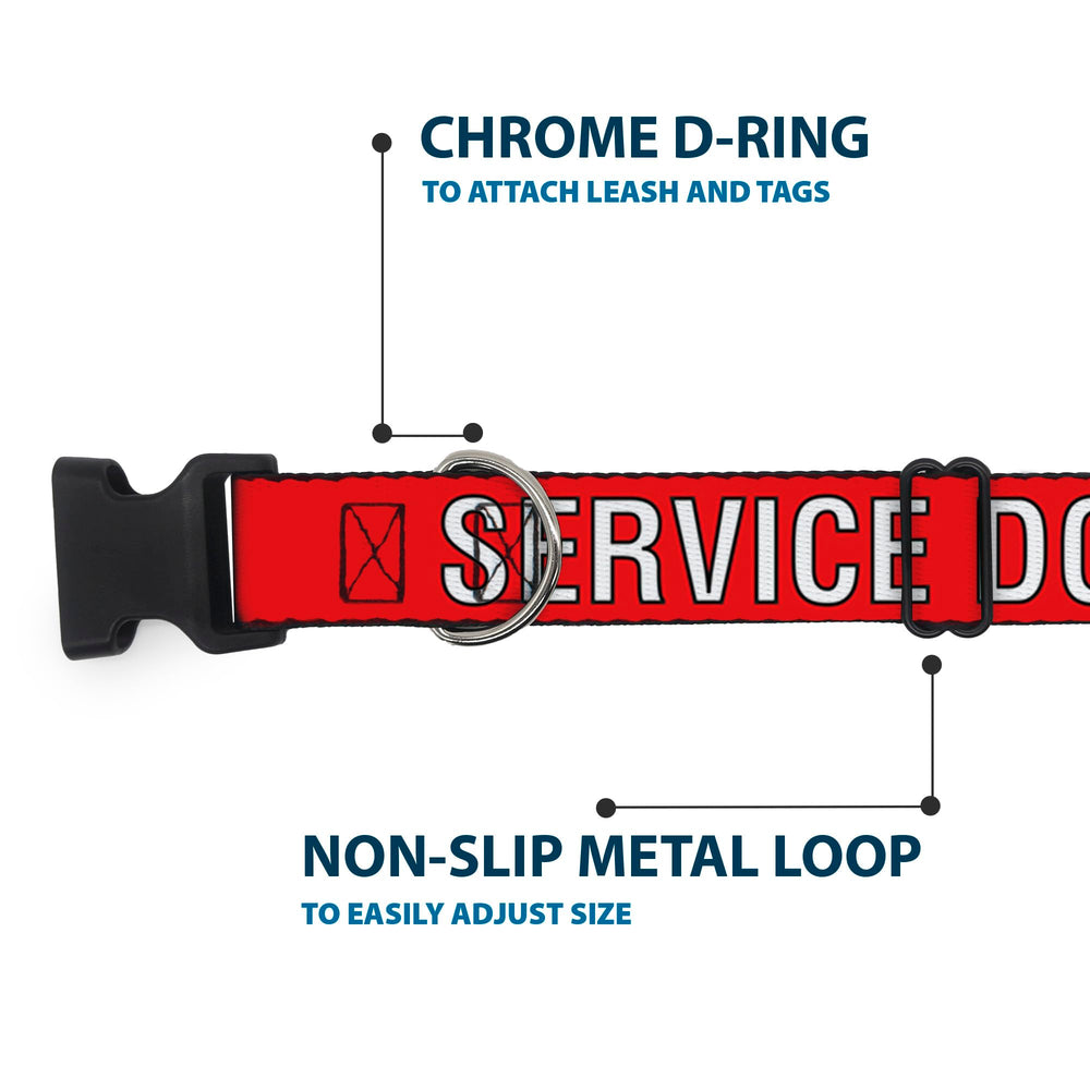 Collar Buckle-Down de 1 pulgada de ancho, uso seguro para perros
