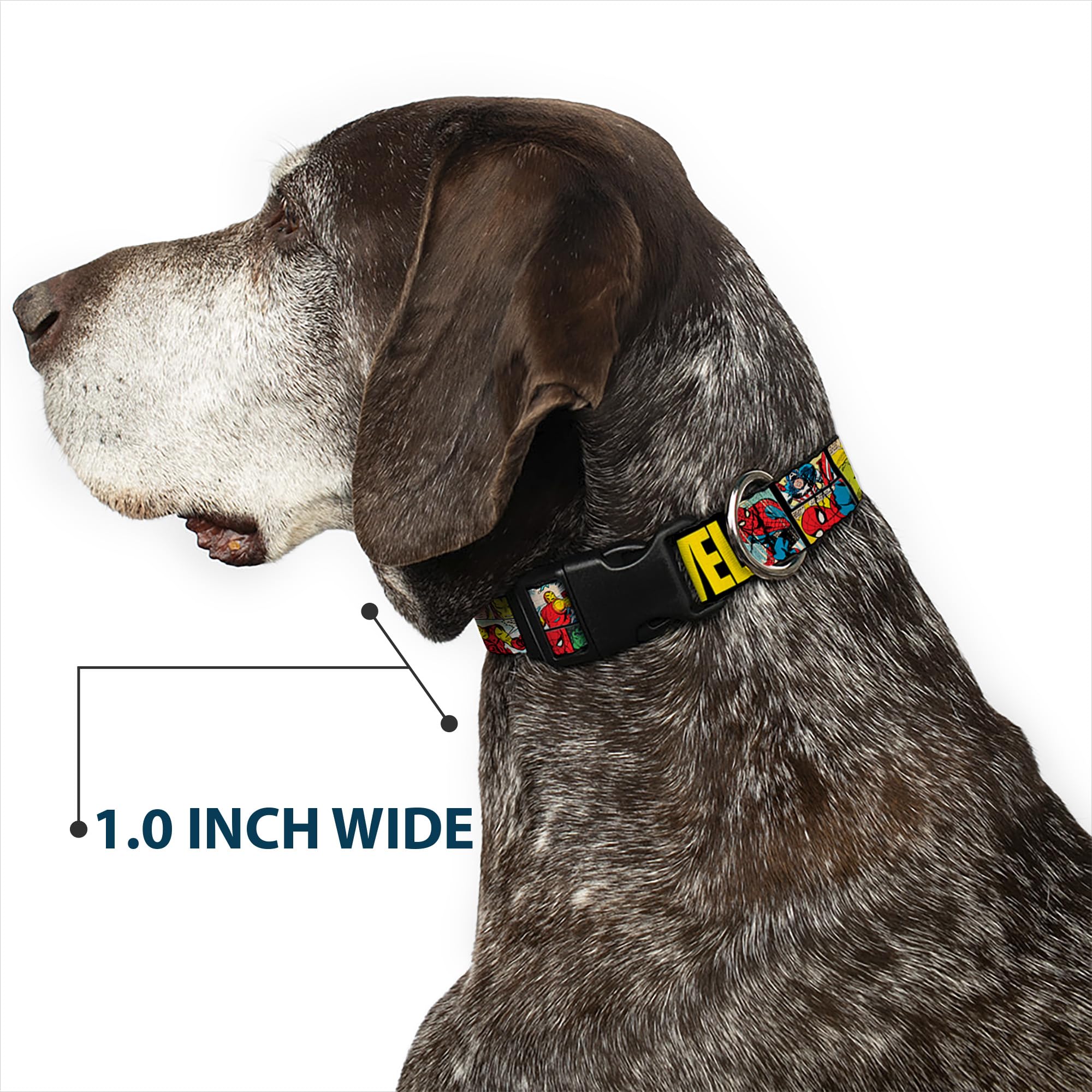 Buckle-Down collar hecho en EE. UU., calidad artesanal y licencia Marvel.